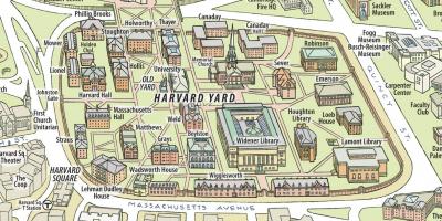 의 지도 하버드대학교